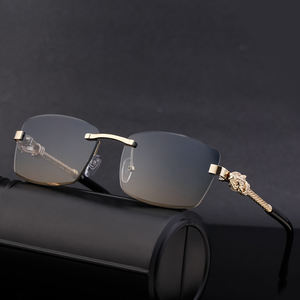 Lunettes <span class=keywords><strong>de</strong></span> <span class=keywords><strong>soleil</strong></span> rectangulaires sans monture Partagas Retro Designer avec logo personnalisé, motif léopard, protection UV400 pour hommes - Product Image 4