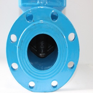 Vanne à opercule souple Longyao Shuangyong Z41X 16Q en fonte ductile à tige montante pour le contrôle du débit d'eau - Product Image 3