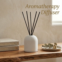 Diffuseur de parfum en céramique pour la maison, désodorisant d'ambiance, marque privée, vente en gros d'usine, OEM&ODM pour salon et équipements hôteliers