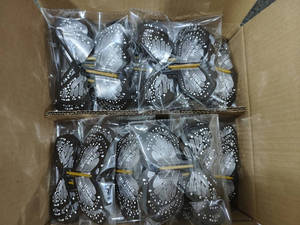 Carpeta de Papel Blanca con Mariposas Voladoras, Regalo Sorpresa con Dulces, Materiales Reciclados, Personalizable, para Cumpleaños - Product Image 6