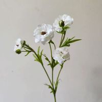 Bunga Buatan Desain Baru 72CM, Sentuhan Asli Lateks, Ranunculus Kupu-kupu untuk Dekorasi Pernikahan dan Rumah