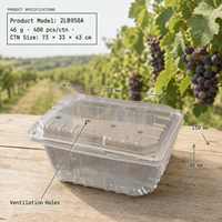 Conteneur à raisins prêts à l'emploi, capacité 2 lb, écologique, en RPET/PET recyclé, jetable, type coquille