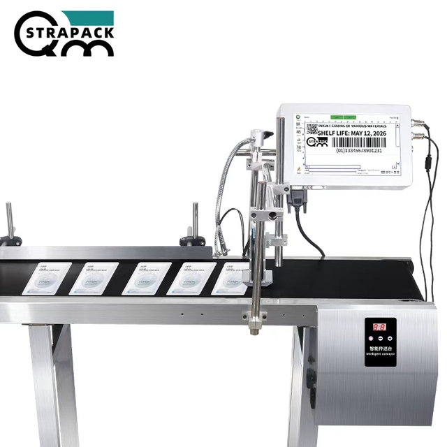 Support Multi Languages Continuous Automatic 10 Inch Touch Screen Online Inkjet Printer for logo Date Printing