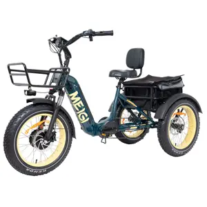 electric elderly tricycle with pedal assist electric tricycle with 14ah lithium battery electric bike 3 wheels tricycle for sale