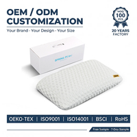 Oreiller de sommeil en Tencel double face confortable pour le printemps, idéal pour la relaxation et le soulagement du stress (vente en gros)