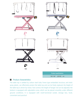 Nouvelle arrivée : table de toilettage vétérinaire électrique à LED, table de beauté pour animaux de compagnie à prix réduit