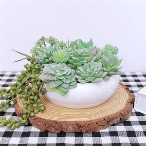 LUYI - Plantas Suculentas Artificiales de Plástico, 11 Piezas, <span class=keywords><strong>Mini</strong></span> Suculentas Artificiales, Echeveria, <span class=keywords><strong>Agave</strong></span>, Surtido de Plantas Verdes Artificiales Colgantes - Product Image 5