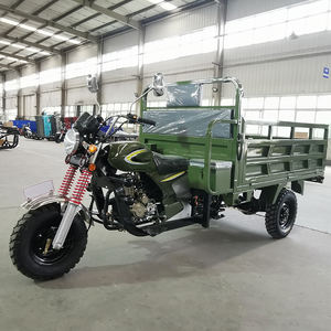 Piezas de triciclo motorizado con carga para adultos, 200C - Product Image 2