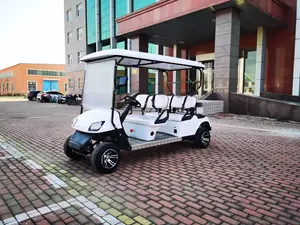 ماركة XYTDCAR سيارة كهربائية عربات التي تجرها الدواب 48 فولت 4 مقاعد