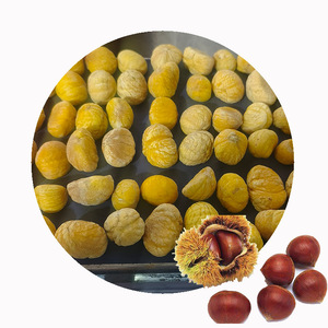 XMSD kastanye beku permintaan tinggi | Kastanye kupas IQF Premium Ideal untuk makanan ringan, memanggang & produksi kalengan - Product Image 2