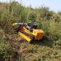 Mesin Pemotong Rumput Crawler Remote Control 1200mm dengan Lampiran Bajak Salju Opsional untuk Penggunaan di Lahan Pertanian dan Pinggir Jalan