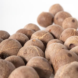 Machine à décortiquer les noix de coco automatique commerciale avec moteur en acier inoxydable, haute capacité 360-600 pièces/h pour le traitement des noix de coco sèches - Product Image 3