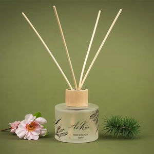 Difusor de Aromas Aikun de Lujo, Minimalista, en Botella de Vidrio, No Tóxico, Ecológico, Repelente de Mosquitos, con Aceite Esencial, Decoración para el Hogar y Dormitorio - Product Image 2