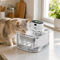 Fontaine à eau rechargeable pour animaux de compagnie 2L, distributeur d'eau sans fil pour chat, commande tactile, transparente, silencieuse