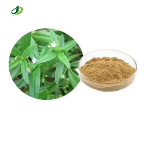 100% Hedyotis Diffusa Extrait Hedyotis Diffusa Extrait Poudre Hedyotis diffusa Willd Extrait