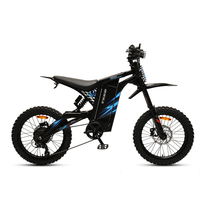 TXED Hot Sale 52V 1000W Achterwielmotor Elektrische Dirtbike 20x3.0 Vetband Hydraulische Schijfrem Volledige Vering E-bike