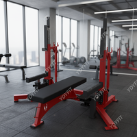 Équipement d'exercice en acier combiné de support de gymnastique d'haltérophilie de logo personnalisé pour l'entraînement de bodybuilding et la machine de forme physique