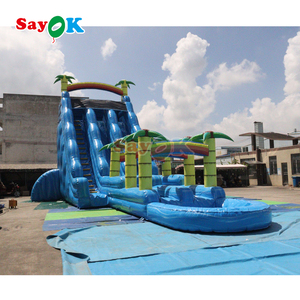 Trẻ Em Thương Mại Inflatable Lớp Trượt Nước Với Hồ Bơi Khổng Lồ Sân Sau Inflatable Khô Slide Cho Trẻ Em - Product Image 1