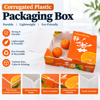 Boîte d'emballage en plastique ondulé OEM, boîte en panneau alvéolaire PP réutilisable pour l'emballage des fruits et légumes, impression personnalisée, boîte d'expédition