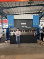 Machines de pliage hydrauliques CNC 250T/3200 et presse plieuse standard avec contrôleur DA53T