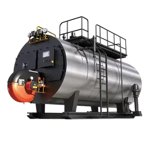 Caldera de vapor para extracción de aceite esencial de plantas, caldera de gas natural directa de fábrica, 4 toneladas por hora, 10 bar