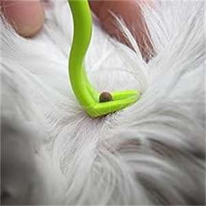 2024 Yiwu Atacado de plástico para animais de estimação removedor de carrapatos pinça portátil durável pente de pulgas para cães gatos cavalos humanos - Product Image 1