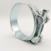 Colliers de serrage robustes en acier inoxydable de type européen avec clips pour tuyaux