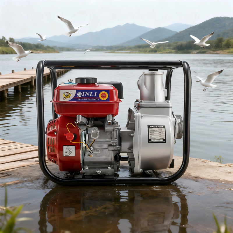 Heavy Duty 6 5HP Gasoline 3