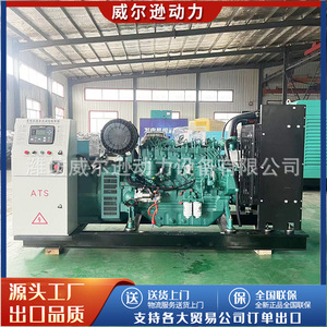 Groupe électrogène diesel Weichai 150 kW 400 V 50 Hz pour travaux d'ingénierie et aquaculture - Product Image 2