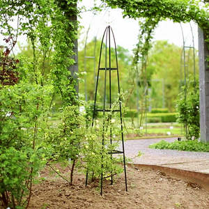 Enrejado de Jardín de Rosas, Soporte de Crecimiento Independiente para Exteriores, Obelisco de Metal para Plantas Trepadoras - Product Image 6