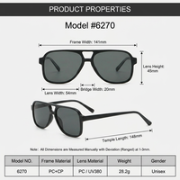 Lunettes de soleil rondes à double pont, légères, durables, tendance, UV380, personnalisées en gros, marque privée Sunray