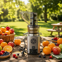 Extracteur de jus lent en acier inoxydable Newsaier NS-300B 750W, fonctionnement silencieux, 220V/110V, usage domestique et commercial, jus de fruits et légumes