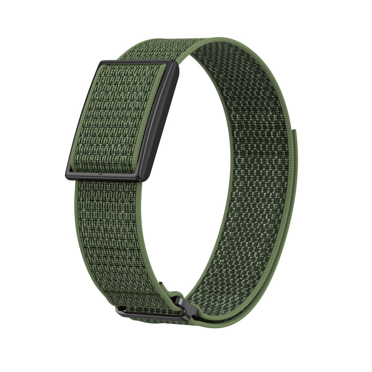Vert - Boucle noire