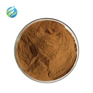 Wholesale Bulk Reishi Mushroom Extract 100% Organic Pure Ganoderma Lucidum Extract Powder