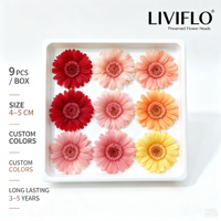 Chrysanthèmes Africains Préservés 4-5 cm 9 Pièces/Boîte Fleurs Éternelles Réelles Accessoires de Décoration Intérieure Mariage Composition Florale