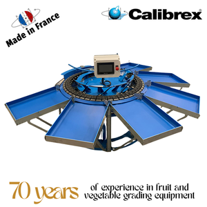 เครื่องชั่งน้ำหนักอเนกประสงค์ขนาดเล็ก CALIBREX ผลิตในฝรั่งเศส สำหรับผลไม้ขนาดเล็กถึงขนาดกลาง เช่น พลัม พร้อมระบบป้อนแบบลิฟต์ - Product Image 1