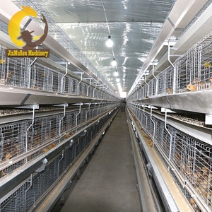 Automatic Chicken Rearing Cage/poultry Farm Equipment/chicken House Complete Farming System - Product Image 6