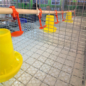 Thiết Bị Gia Cầm Thương Hiệu Nổi Tiếng Thế Giới Lồng Gà Thịt Loại H - Product Image 6