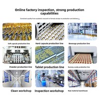 Comprimés d'acide folique et de choline personnalisés avec capuchon bleu OEM pour femmes enceintes - Origine Shandong, Durée de conservation de 24 mois