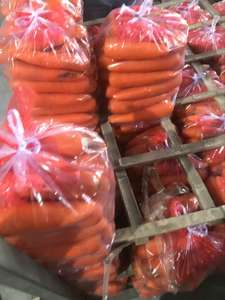 Frische Bio-Karotten Sorte 316 Rot 20cm 0,15kg Karton Mild Süßes Fasoliergewürzgemüse Marke Shandong Heli 3 Monate - Product Image 2