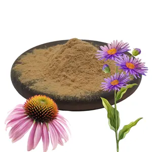 Pasokan pabrik bubuk Purpurea alami produk perawatan kesehatan Echinacea organik