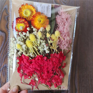 Sac en plastique format A5 Matériaux de bricolage Vraies fleurs naturelles séchées <span class=keywords><strong>m</strong></span>élangées Vente en gros Mini fleurs séchées Ne <span class=keywords><strong>m</strong></span>'oublie pas Fleurs séchées - Product Image 5