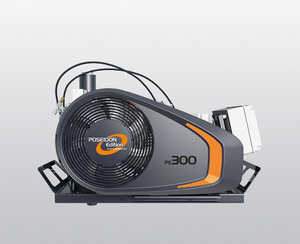 New Air High-pressure Compressor PE 300-TE <b>Gasoline</b>-Powered Portable Piston Motor 300 L/min Compact Structure Easy Operate PE 30 - Product Image 2
