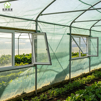 Serre de jardin professionnelle à simple travée en acier galvanisé à chaud, avec protection UV, pour la culture de légumes