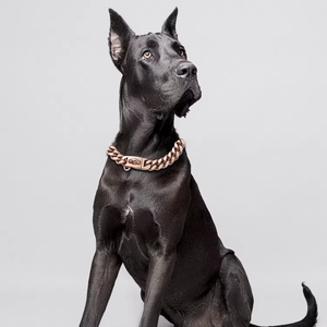 <span class=keywords><strong>Collier</strong></span> de chien de luxe en or Hiphop laisse solide <span class=keywords><strong>Bully</strong></span> Link chaîne de chien cubain personnalisé grand chien <span class=keywords><strong>collier</strong></span> étrangleur Kit de laisses de luxe <span class=keywords><strong>pour</strong></span> - Product Image 4