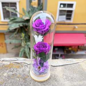 Rosa Preservada en Cúpula de Cristal, Regalo de San Valentín al por Mayor, Rosas Eternas Reales con Caja de Regalo - Product Image 4