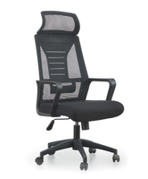 Nueva Silla de Oficina Ergonómica de Malla con Reposabrazos Ajustables 8D y Soporte Lumbar, Silla de Escritorio Cómoda para Trabajar Todo el Día
