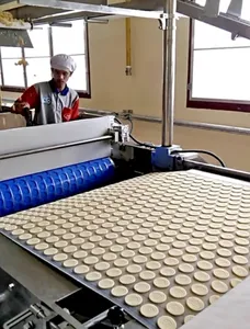 Biscuit Manufacturing Machine Biscuit Production Line Biscuit Making Machine Price