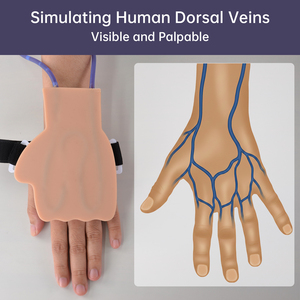 Modèle d'entraînement à la phlébotomie et à la ponction veineuse, mannequin de main dorsale en PVC portable, kit de démarrage IV pour l'entraînement aux injections - Product Image 3