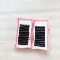 Plateau d'extensions de cils en volume pour la vente en gros, Courbures C D CC DD, 0.03 0.05, 8-15mm, Cils naturels longs, volumineux et de haute qualité
